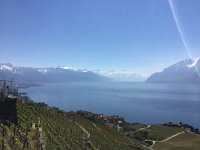 2017-04-29 12-22-14 5470315c